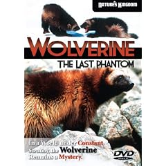 Wolverine - The Last Phantom