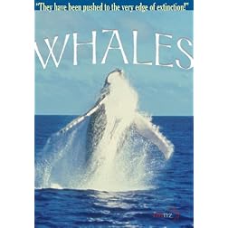 Whales (Home Use)