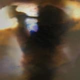 Fall Be Kind by Animal Collective