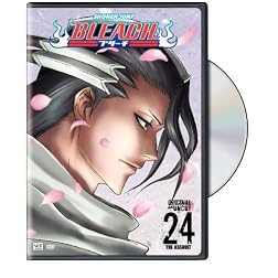 Bleach, Vol. 24