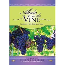 Abide in the Vine DVD/MP3 Set: Gospel of John