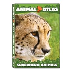 Animal Atlas: Superhero Animals