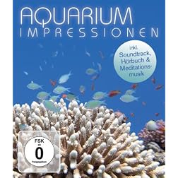 Aquarium Impressions