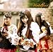 光の旋律(初回生産限定盤)(DVD付)