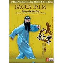 Lvshan Wudang--Bagua Palm
