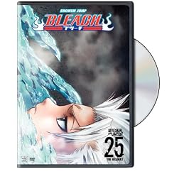 Bleach, Vol. 25
