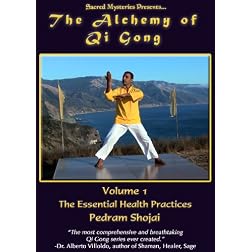 The Alchemy of Qi Gong Volume I: The Essential Health Practices