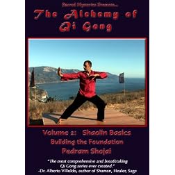The Alchemy of Qi Gong Volume II: Shaolin Basics: Building the Foundation