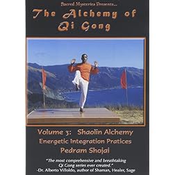 The Alchemy of Qi Gong Volume III <BR>Shaolin Alchemy: Energetic Integration Practices