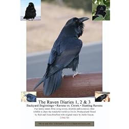 The Raven Diaries 1, 2 & 3 (2 Disk Set)