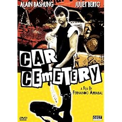 Car Cemetery (Ws Sub)