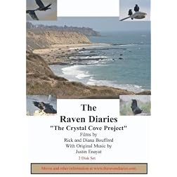 The Raven Diaries Part 4 - Crystal Cove Project (2 Disk Set)