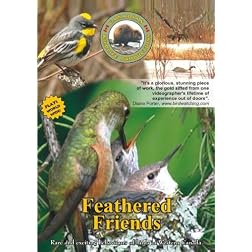 Feathered Friends Vol. 4