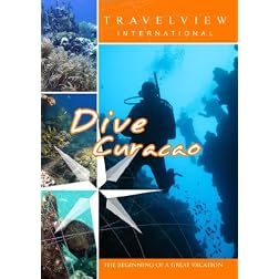 Travelview International  Dive Curacao