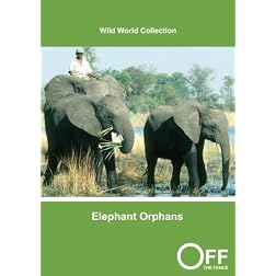 Elephant Orphans