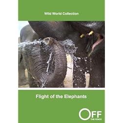 Flight of the Elephants