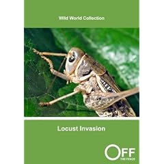 Locust Invasion