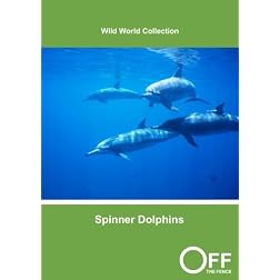 Spinner Dolphins