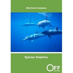 Spinner Dolphins