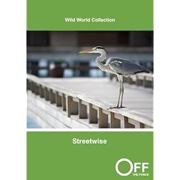 Streetwise