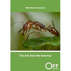 The Ant that Ate America