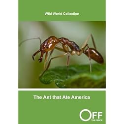 The Ant that Ate America