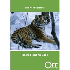 Tigers Fighting Back