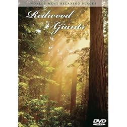 World's Most Relaxing Places: Redwood Giants