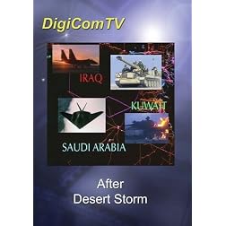 After Desert Storm