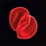 Scratch My Back by Peter Gabriel