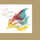 Campfire Songs by Animal Collective