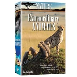 Nature: Extraordinary Animals (6pc)