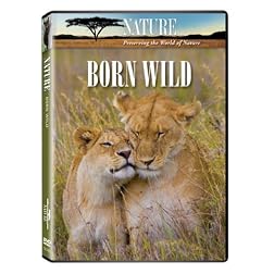 Nature: Born Wild