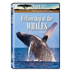 Nature: Fellowship of the Whales