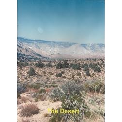 Relaxation Music: The Desert