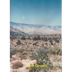 Relaxation Music: The Desert