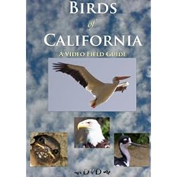 Birds of California:  A Video Field Guide