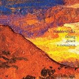 Falling Down a Mountain by Tindersticks
