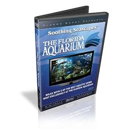 Soothing Seascapes from The Florida Aquarium