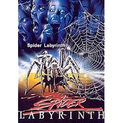 Spider Labyrinth
