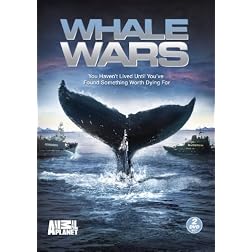 Whale Wars: Season 1