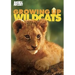 Growing Up Wild Cats