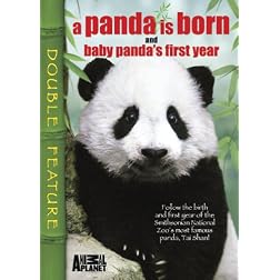 A Panda Is Born/Baby Panda's First Year