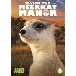 Meerkat Manor: Season Two
