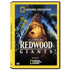 National Geographic: Climbing Redwood Giants