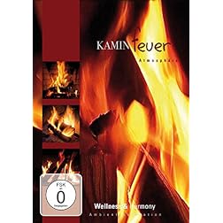 Wellness & Harmony: Fireplace Atmosphere
