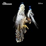 Falcon by The Courteeners