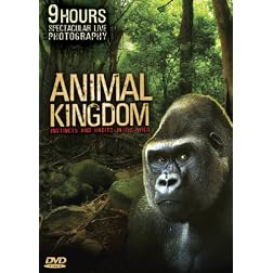 Animal Kingdom