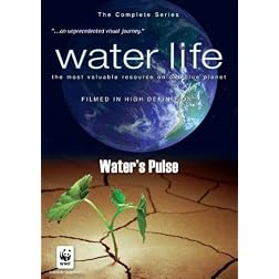 Water Life: Water's Pulse