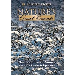 Nature's Great Events: The Family Life of Animals: The Road to Independence